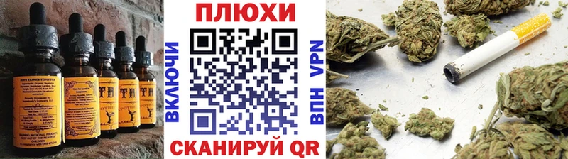 Canna-Cookies марихуана  Суджа 
